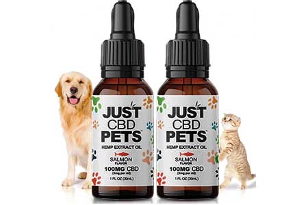 How-can-you-use-Hemp-Oil-for-Pets